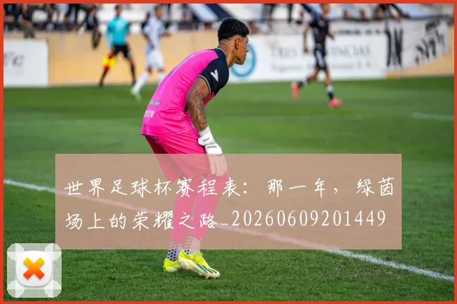 世界足球杯赛程表:那一年,绿茵场上的荣耀之路_20260609201449