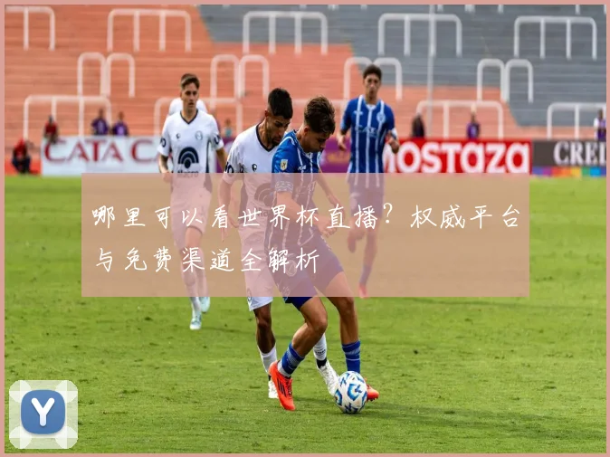 哪里可以看世界杯直播？权威平台与免费渠道全解析